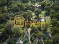 Sale, land lot, 33727m², Ostalo, Podgorica - image 8