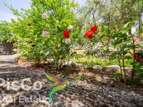 Prodaja, kuća, 250m², Danilovgrad, Crna Gora - image 12