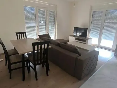 Izdavanje, jednosoban stan, 55m², Stari Aerodrom, Podgorica - image 3