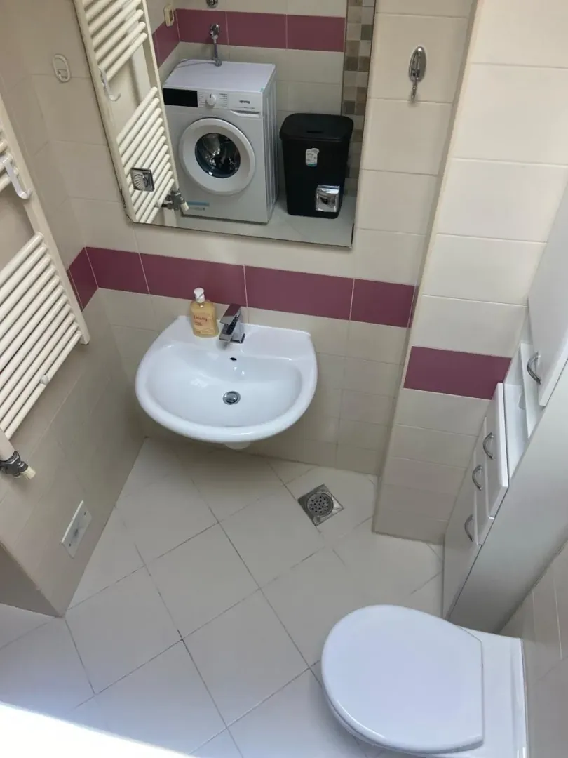 Smaller bathroom with a sink, toilet, shower, and washing machine.