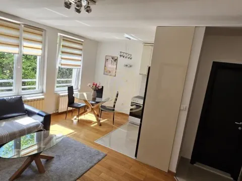 Rent, two bedroom apartment, 40m², Bulbulder, Zvezdara Sve Podlokacije - image 8