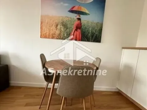 Izdavanje, dvosoban stan, 47m², Zemun Sve Podlokacije, Beograd - image 4