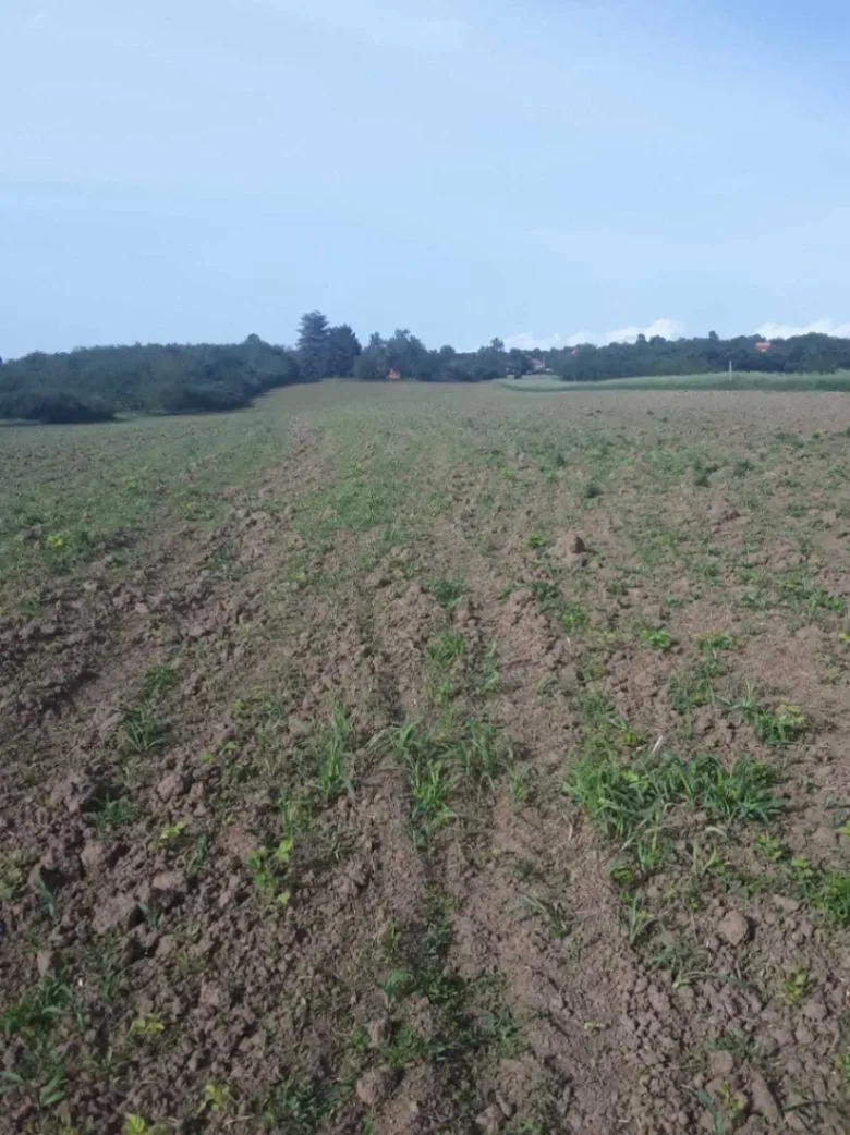 Prodaja, plac, 22671m², Mladenovac, Beograd