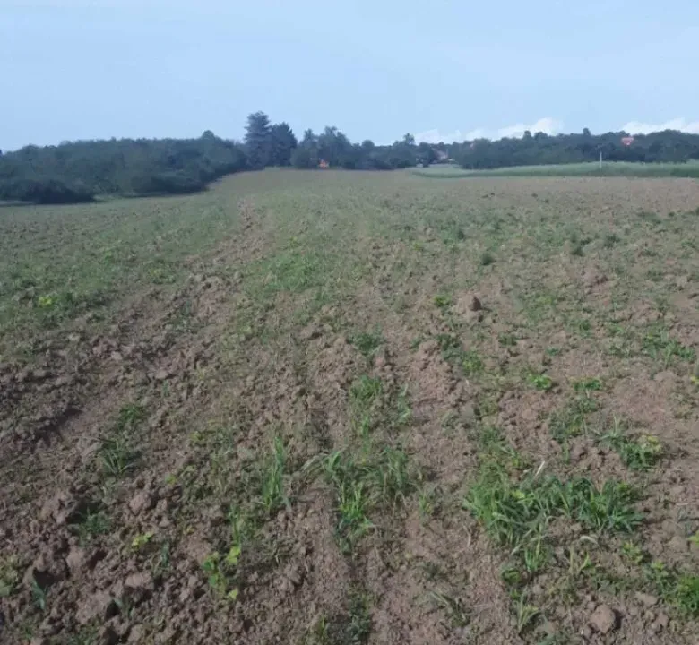 Prodaja, plac, 22671m², Mladenovac, Beograd