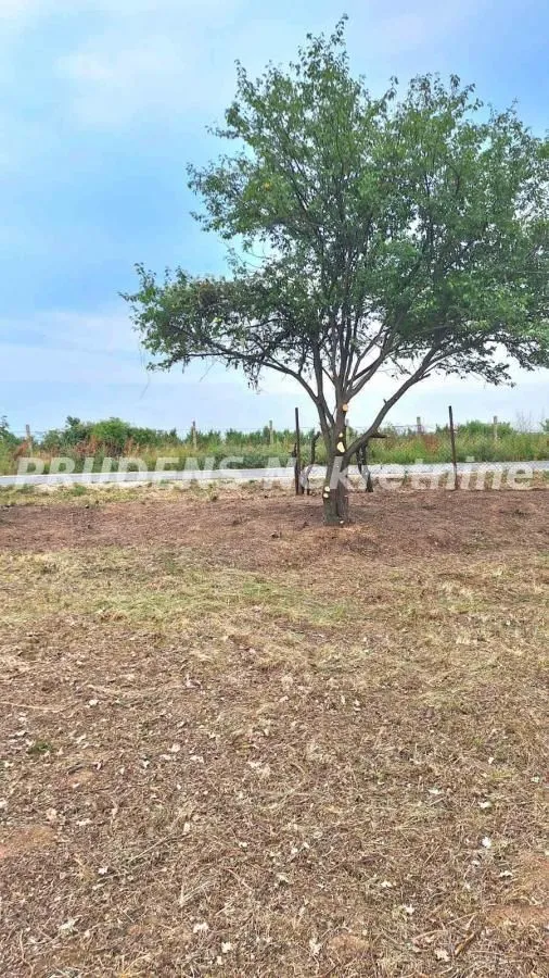 Prodaja, plac, 1000m², Pudarci, Grocka
