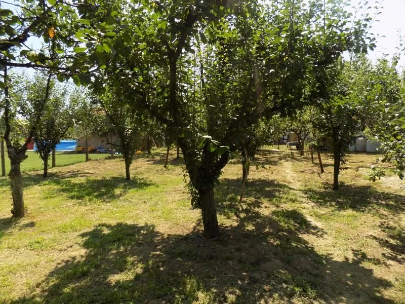 Prodaja, kuća, 110m², Ćuprija, Srbija