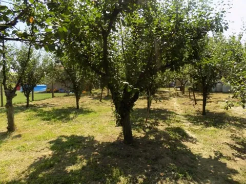 Sale, house, 110m², Ćuprija, Srbija - image 30