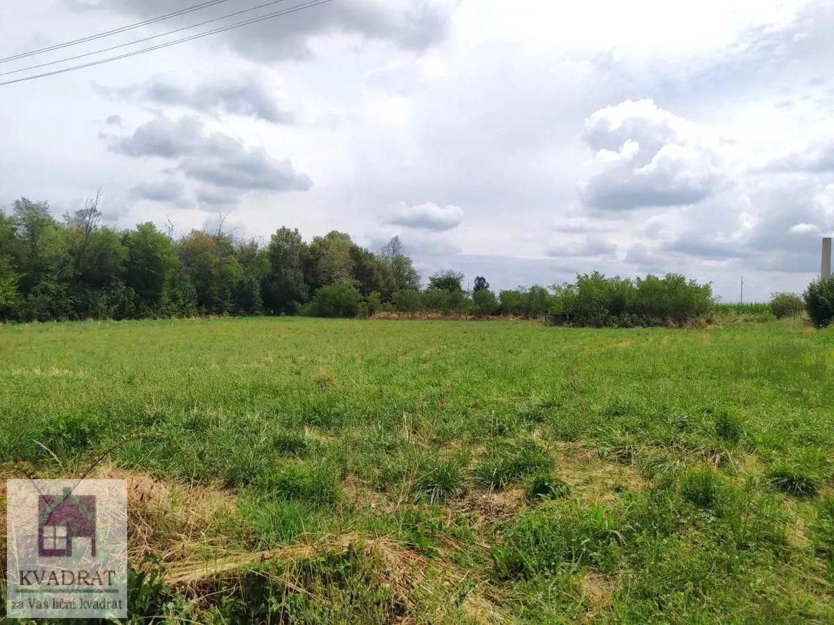Prodaja, plac, 3500m², Mesarci, Vladimirci