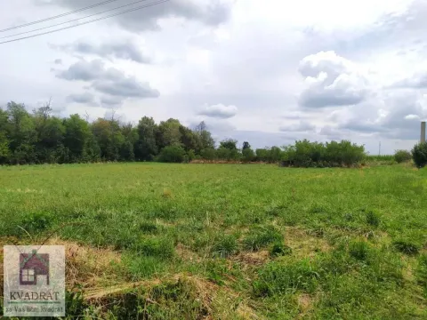 Prodaja, plac, 3500m², Mesarci, Vladimirci - image 2