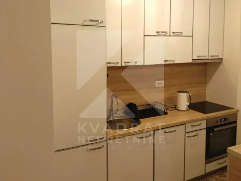Rent, one bedroom apartment, 48m², Stari Aerodrom, Podgorica - image 3