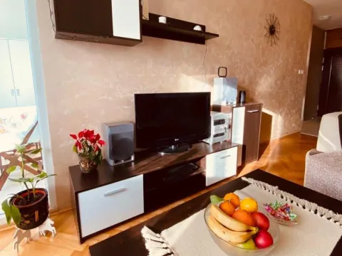 Rent, one bedroom apartment, 48m², Stari Aerodrom, Podgorica - image 2