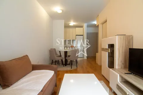 Rent, one bedroom apartment, 42m², Central Point, Podgorica - image 3