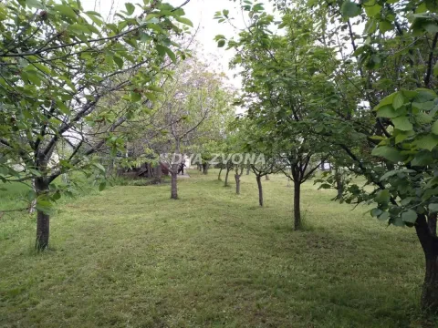 Prodaja, kuća, 42m², Čortanovci, Inđija - image 4