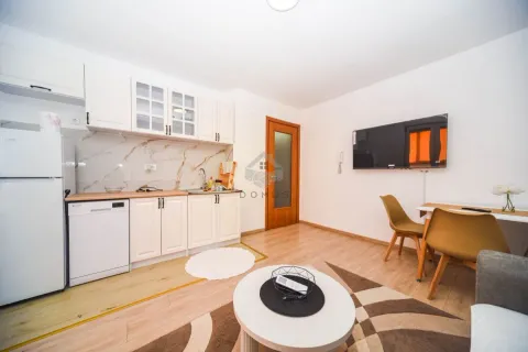 Rent, two bedroom apartment, 43m², Zabjelo, Podgorica - image 3