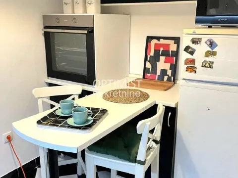 Rent, two bedroom apartment, 44m², Vračar Centar, Vračar Sve Podlokacije - image 6