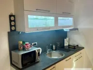 Izdavanje, jednosoban stan, 45m², Zemun Sve Podlokacije, Beograd - image 5