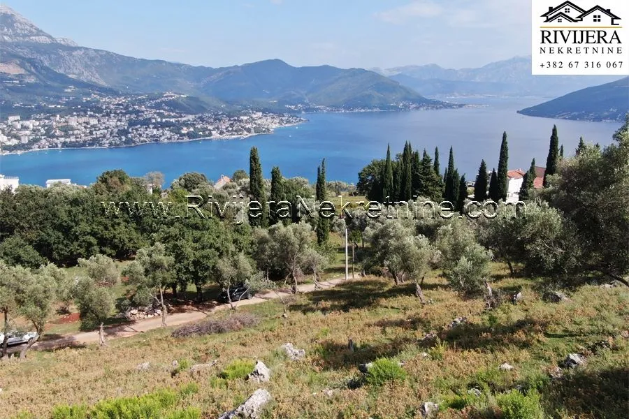 Prodaja, plac, 4323m², Žvinje, Herceg Novi