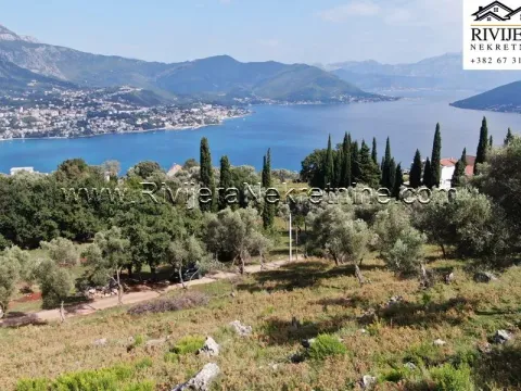 Prodaja, plac, 4323m², Žvinje, Herceg Novi - image 2