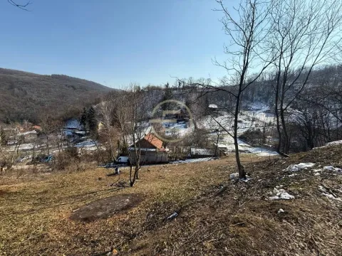 Prodaja, plac, 600m², Rakovac, Novi Sad Sve Podlokacije - image 2