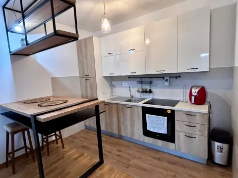 Rent, one bedroom apartment, 43m², Zabjelo, Podgorica - image 5