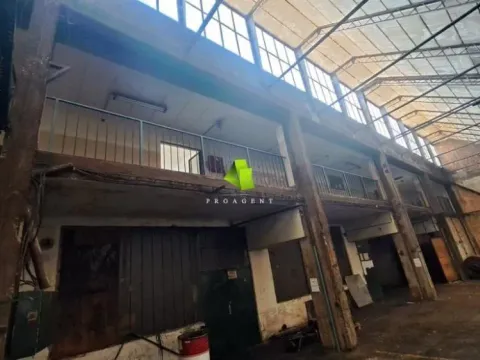 Izdavanje, poslovni prostor, 1700m², Palilula, Niš - image 8