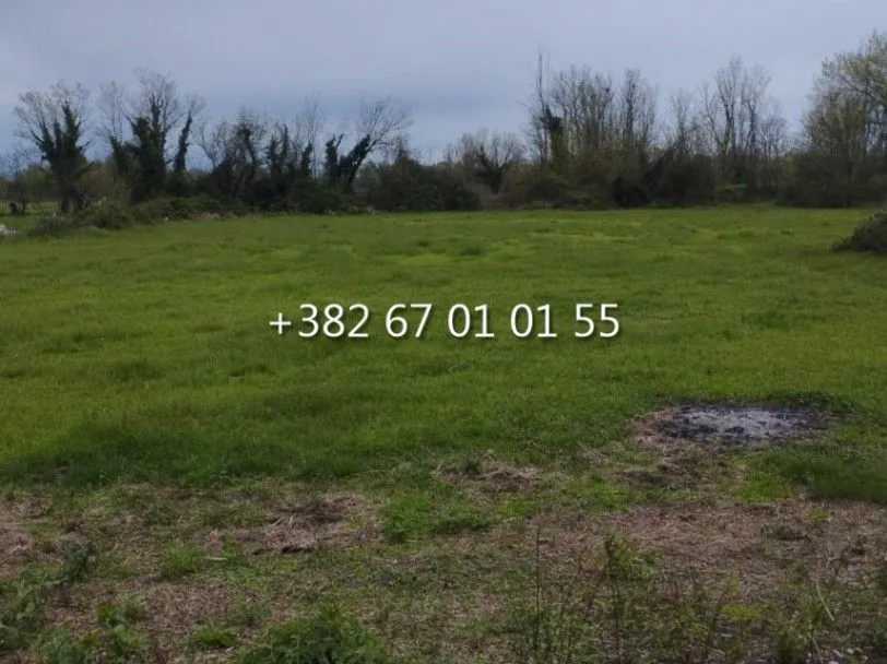 Prodaja, plac, 4736m², Golubovci, Podgorica