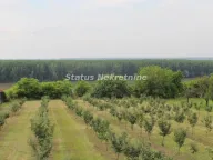 Sale, house, 35m², Krčedin, Inđija - image 7