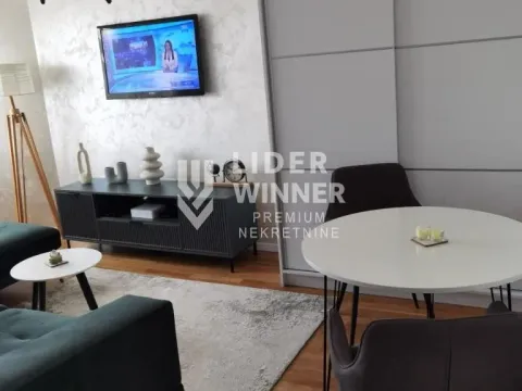Izdavanje, jednosoban stan, 30m², Stari Grad, Beograd - image 2