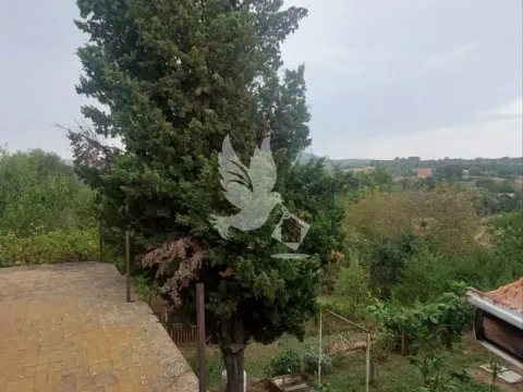 Prodaja, kuća, 226m², Koraćica, Mladenovac - image 9