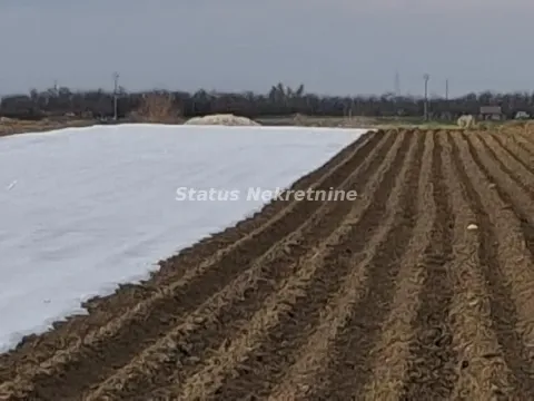 Prodaja, plac, 12710m², Futog, Novi Sad Sve Podlokacije - image 6