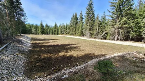 Prodaja, plac, 6750m², Podgora, Žabljak - image 1