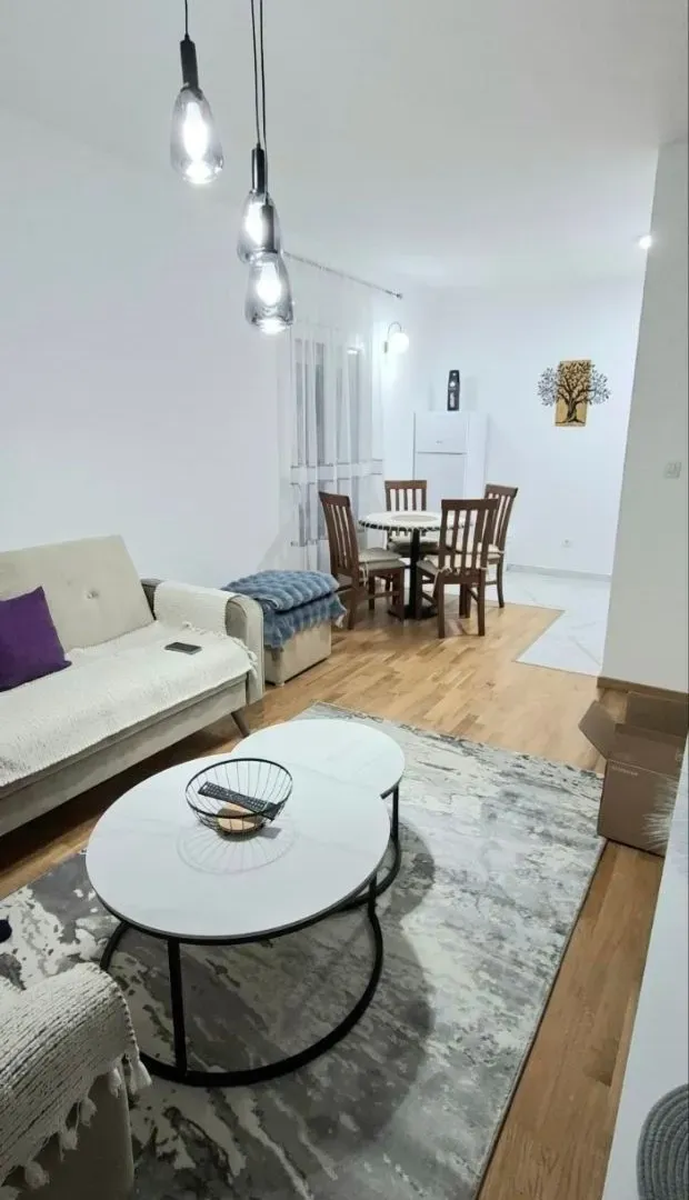 Izdavanje, jednosoban stan, 47m², Zagorič, Podgorica