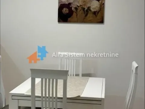 Izdavanje, dvosoban stan, 48m², Novi Beograd Sve Podlokacije, Beograd - image 3