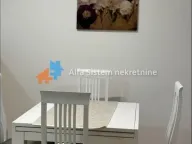 Izdavanje, dvosoban stan, 48m², Novi Beograd Sve Podlokacije, Beograd - image 3