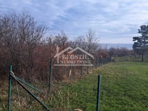 Prodaja, plac, 2000m², Grocka, Beograd - image 2