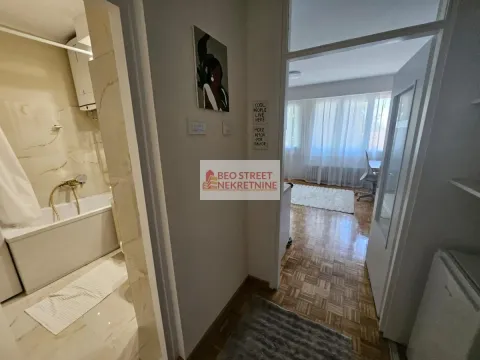 Izdavanje, jednosoban stan, 26m², Voždovačka Crkva, Voždovac Sve Podlokacije - image 15