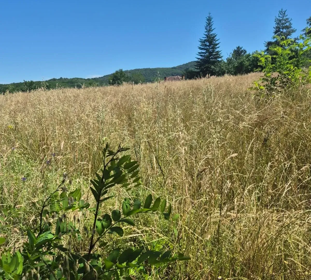 Sale, land lot, 11500m², Valjevo, Srbija