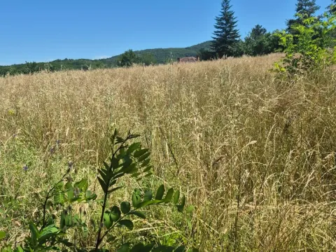 Sale, land lot, 11500m², Valjevo, Srbija - image 6