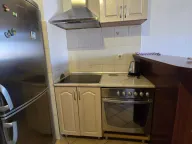 Izdavanje, jednosoban stan, 48m², Stari Aerodrom, Podgorica - image 3