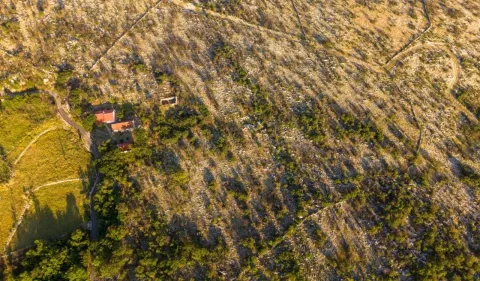 Prodaja, plac, 46000m², Doljani, Podgorica - image 4