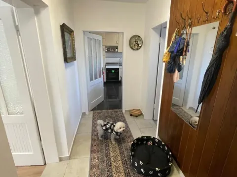 Prodaja, kuća, 115m², Beočin, Srbija - image 10