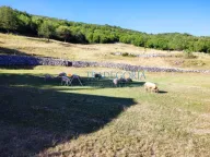 Prodaja, kuća, 120m², Nikšić, Crna Gora - image 5