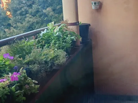 Prodaja, trosoban stan, 84m², Vračar Hram, Vračar Sve Podlokacije - image 3