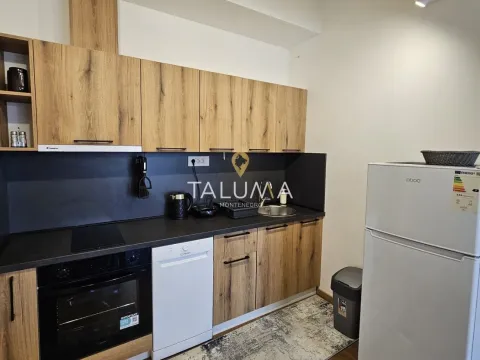 Izdavanje, jednosoban stan, 59m², Stara Varoš, Podgorica - image 4