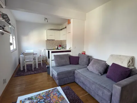 Izdavanje, jednosoban stan, 45m², Stari Aerodrom, Podgorica - image 2