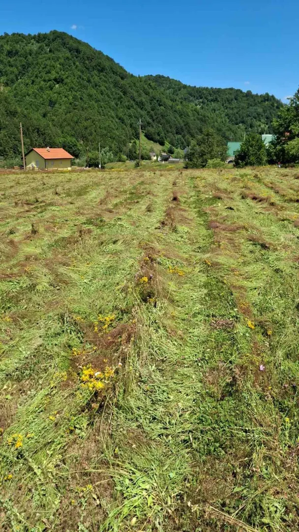 Prodaja, plac, 7000m², Veruša, Podgorica