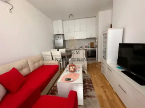 Izdavanje, jednosoban stan, 32m², Stari Aerodrom, Podgorica - image 8