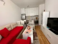 Izdavanje, jednosoban stan, 32m², Stari Aerodrom, Podgorica - image 8