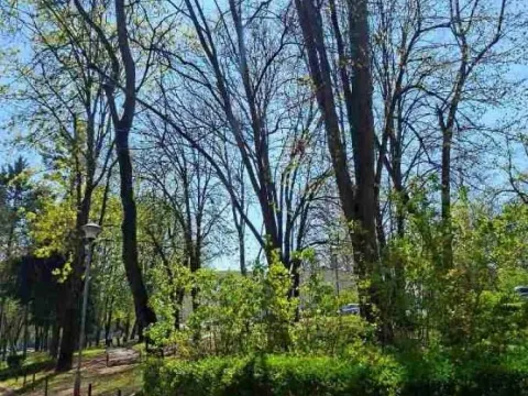 Sale, two bedroom apartment, 61m², Savski Venac, Beograd - image 13