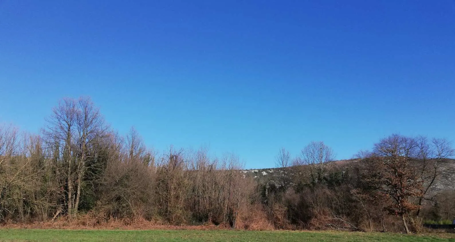 Prodaja, plac, 6100m², Orja Luka, Danilovgrad